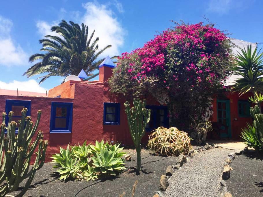 Casa Panama,In Der Finca Mimosa تيغيسي المظهر الخارجي الصورة