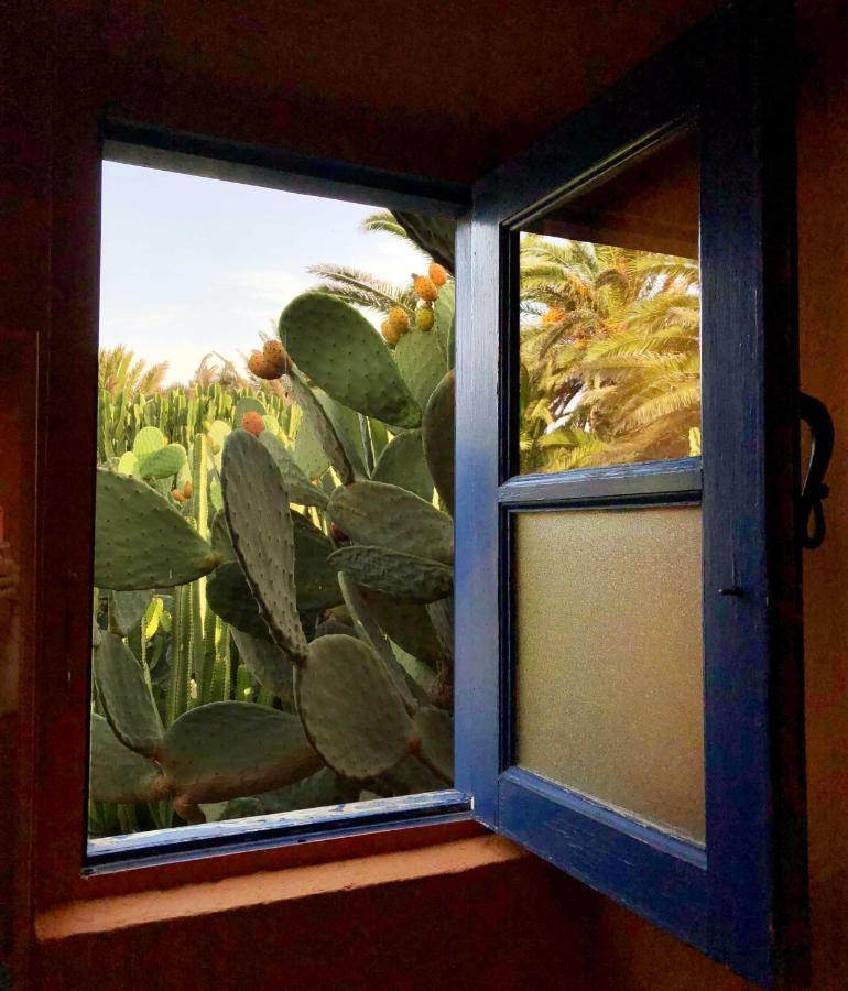 Casa Panama,In Der Finca Mimosa تيغيسي المظهر الخارجي الصورة